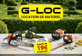 Location outil Tronçonneuse Thermique près de Schweighouse-sur-Moder