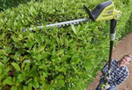 Location outil Taille haie sur perche Électrique Ryobi près de Neuilly-Plaisance