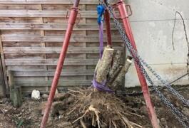Location outil Arrache souche près de Verneuil-sur-Vienne