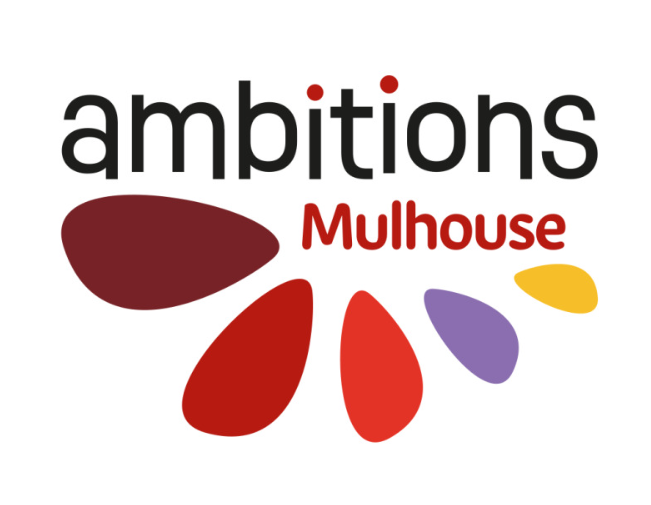 Ambitions Mulhouse - un outil pour mesurer l’impact des actions menées pour lutter contre le décrochage scolaire