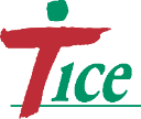 B.R.SERVICES pour le compte de Tice - Hozokawa-Secours Catholique- Innov services- Top Solide- Service communication mairie de Lisses – Ferelec,