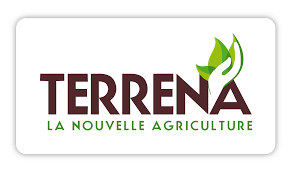 Terrena