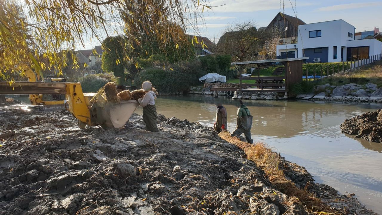 Restauration de berges