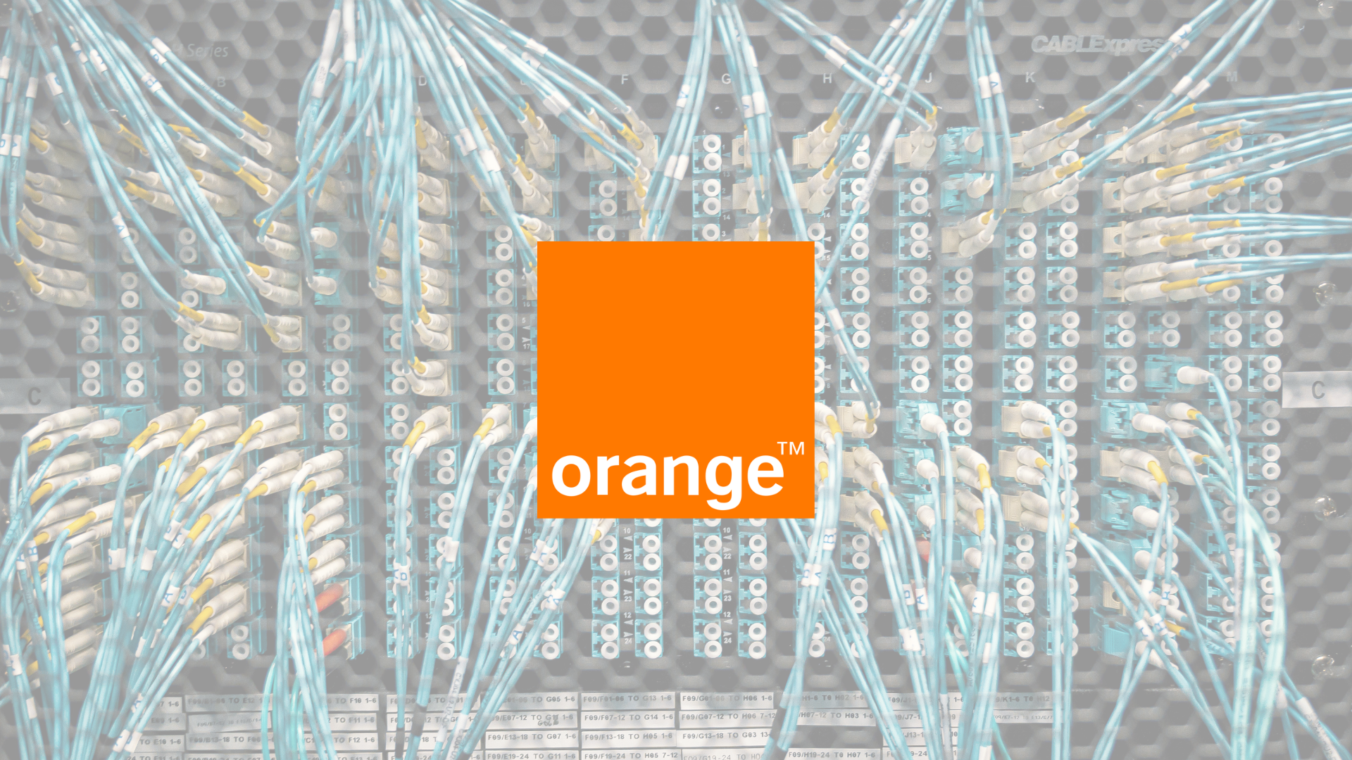 Entretien des locaux | Orange