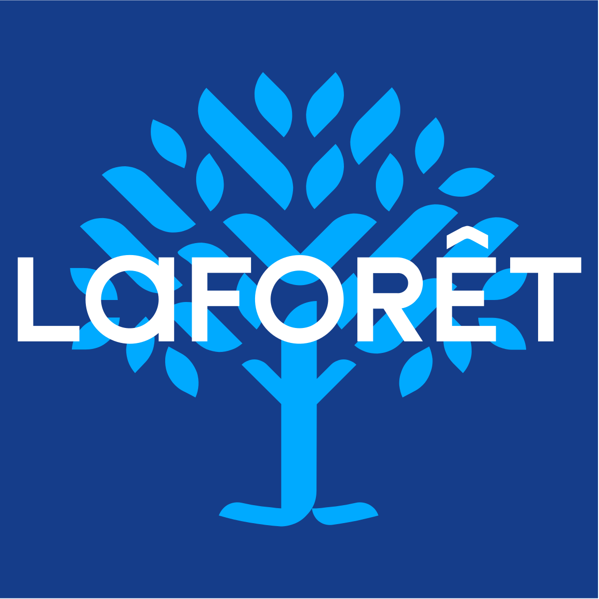 LA FORET