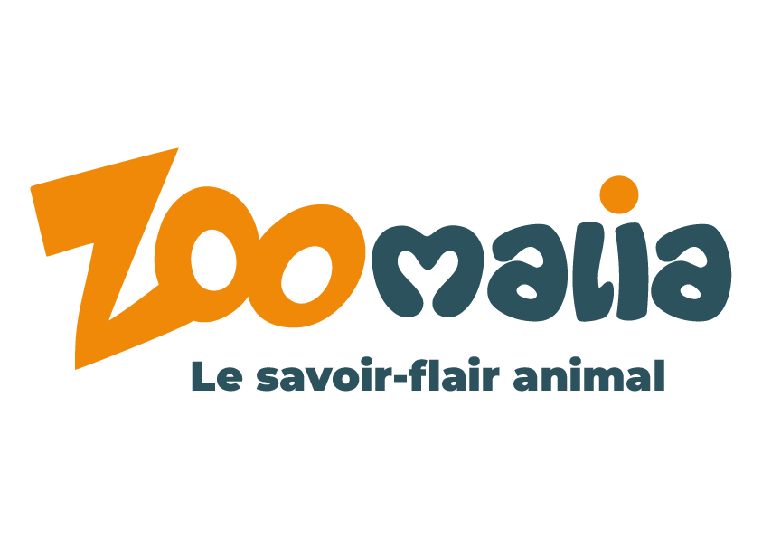 ZOOMALIA