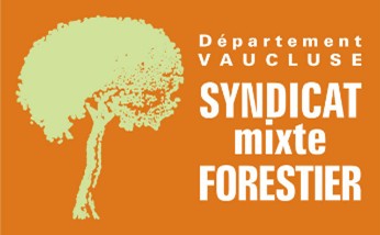 SYNDICAT MIXTE DE VALORISATION FORESTIERE