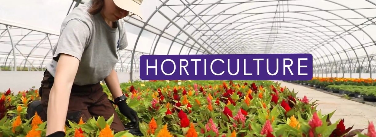 Horticulture