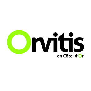 Orvitis