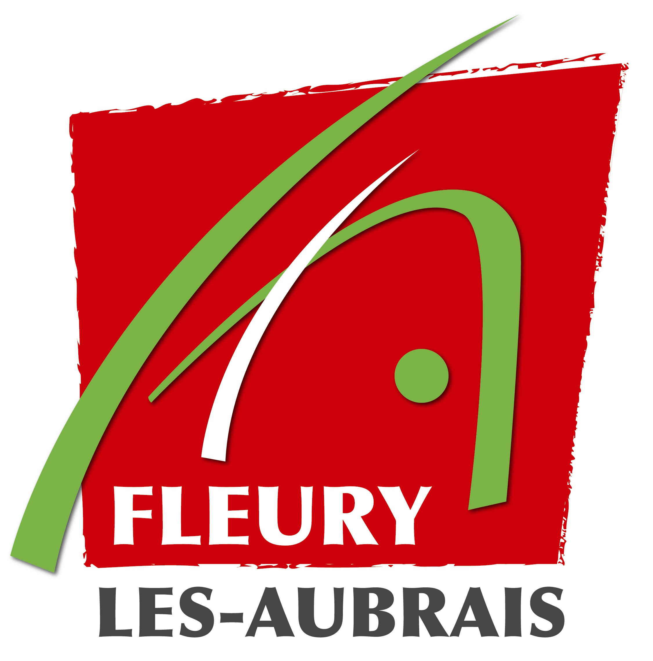 VILLE FLEURY LES AUBRAIS