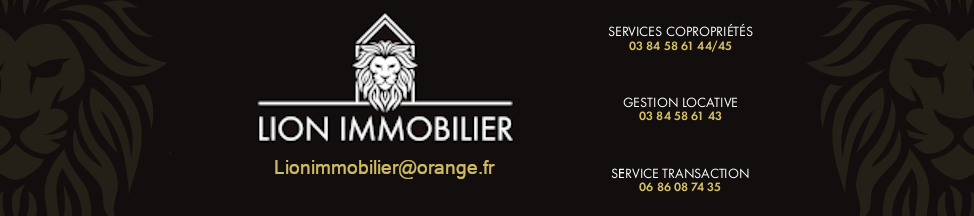 LION IMMOBILIER