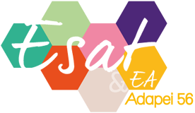Logo de la structure E.S.A.T. DU PIGEON BLANC
