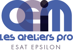 Logo de la structure ESAT EPSILON de Lunéville