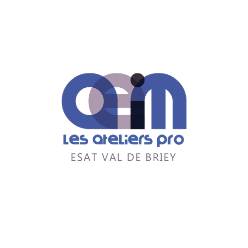 Logo de la structure ESAT DE LORQUIN