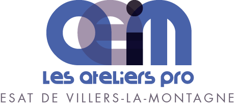 Logo de la structure ESAT DE VILLERS LA MONTAGNE