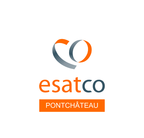 Logo de la structure ESAT du Brivet - Apei Ouest 44