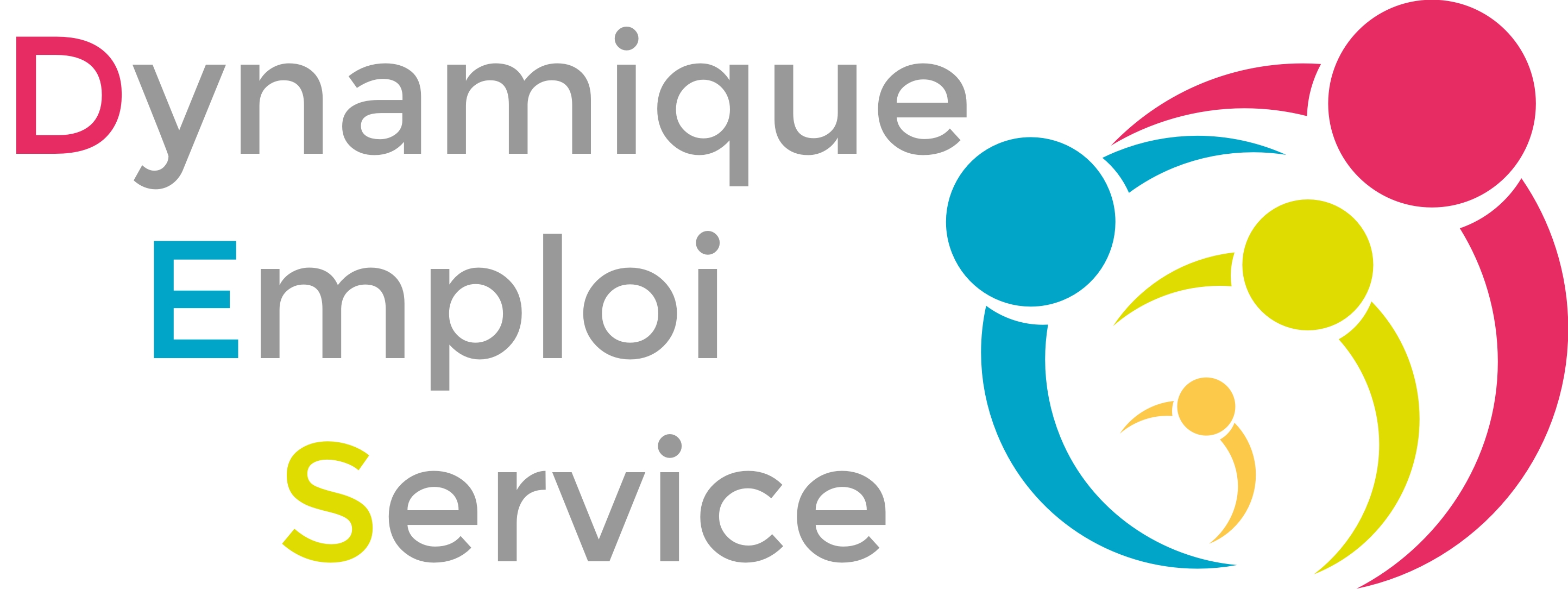 Logo de la structure ASSOC DYNAMIQUE EMPLOI SERVICE