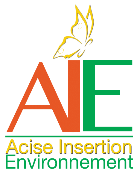 Logo de la structure A CIT INS SOL ENV "ACISE INSERT ENV"