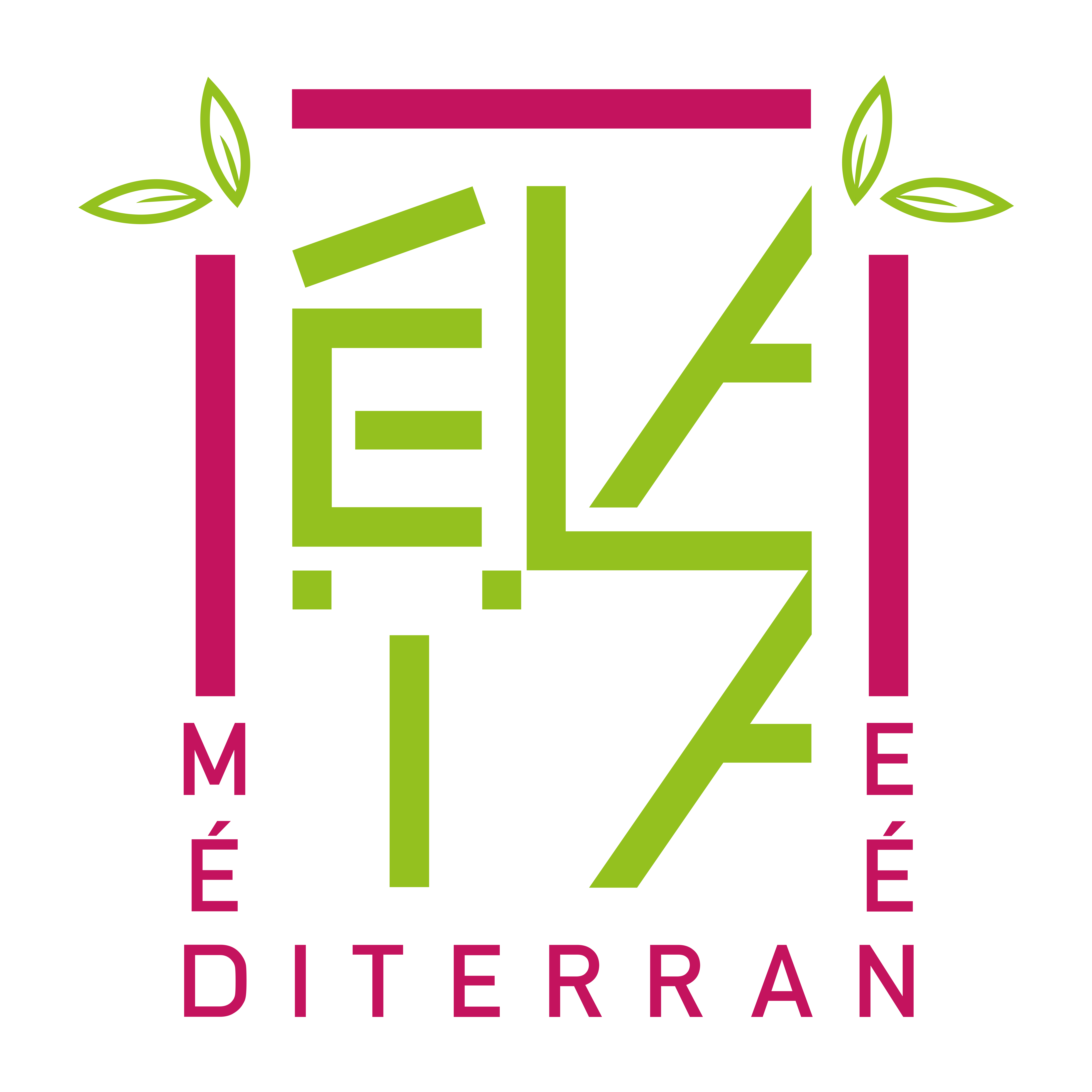 Logo de la structure ELAIA MEDITERRANEE