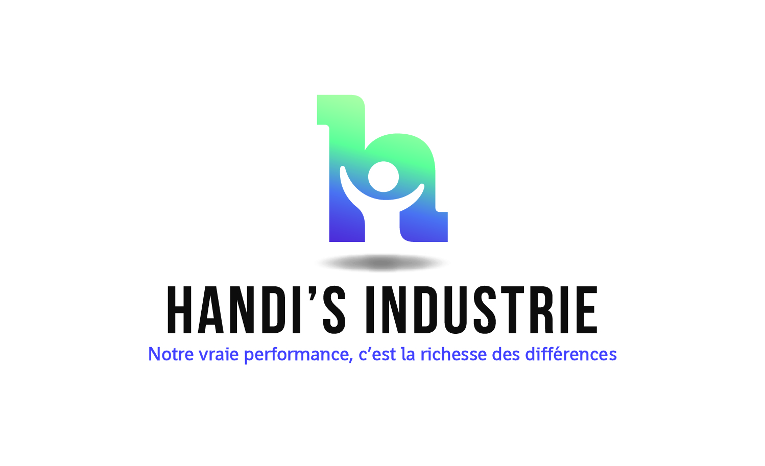 Logo de la structure Ea Handi S Industrie