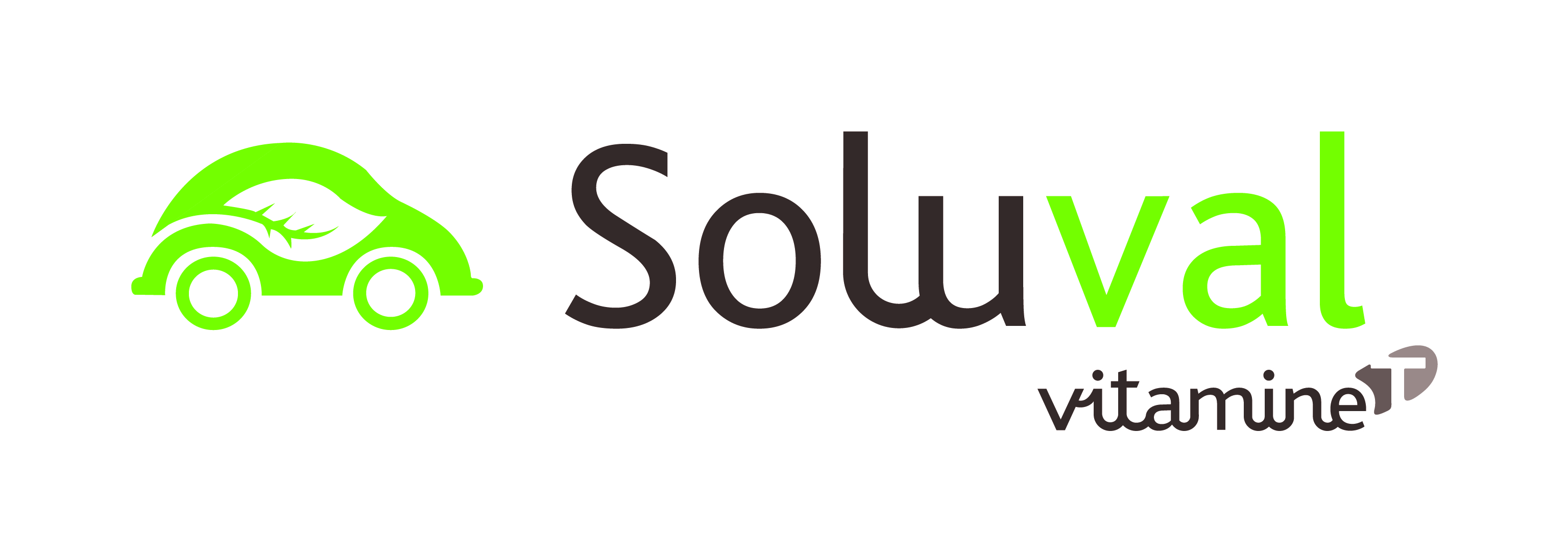 Logo de la structure SOLUVAL
