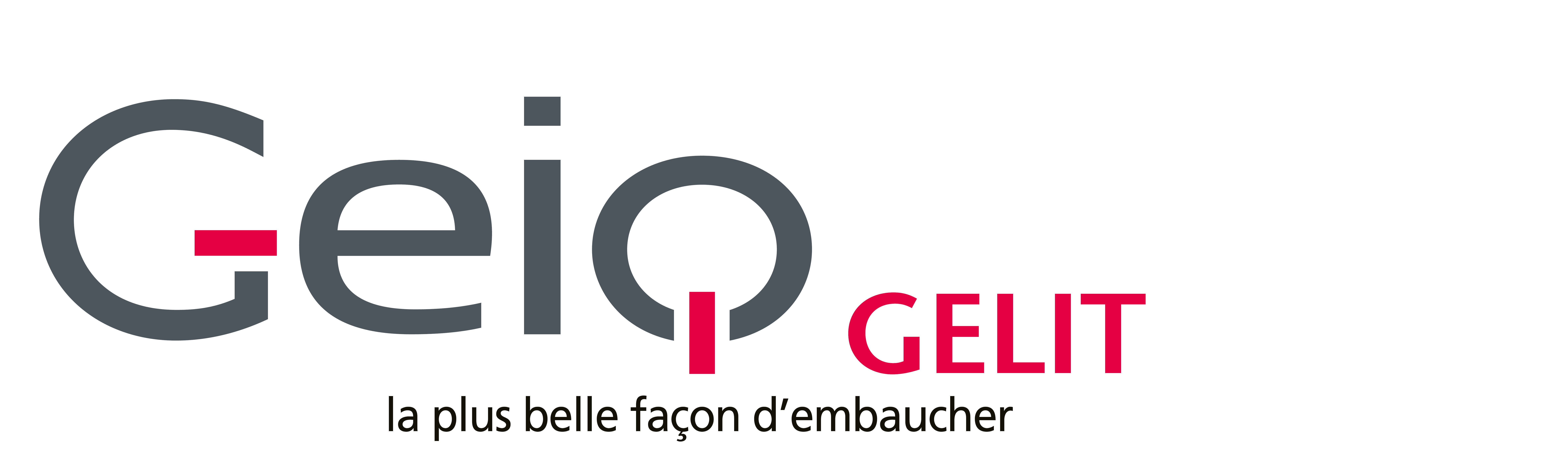 Logo de la structure GEIQ GELIT