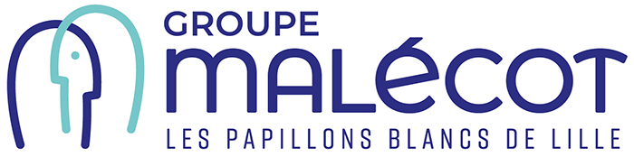 Logo de la structure GROUPE MALECOT ARMENTIERES