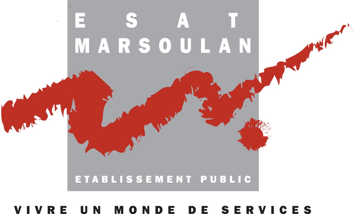 Logo de la structure ESAT MARSOULAN