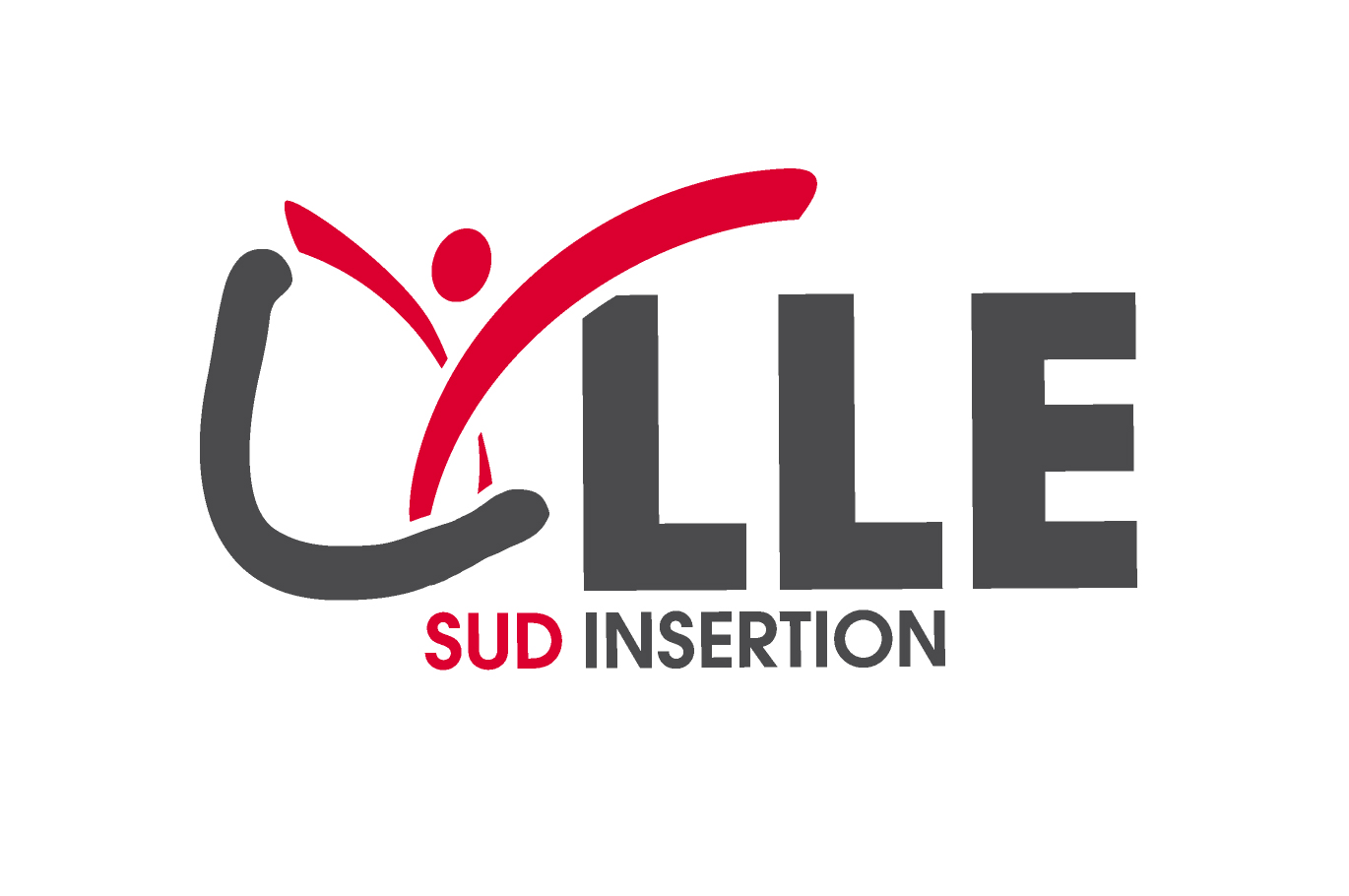 Logo de la structure LILLE SUD INSERTION