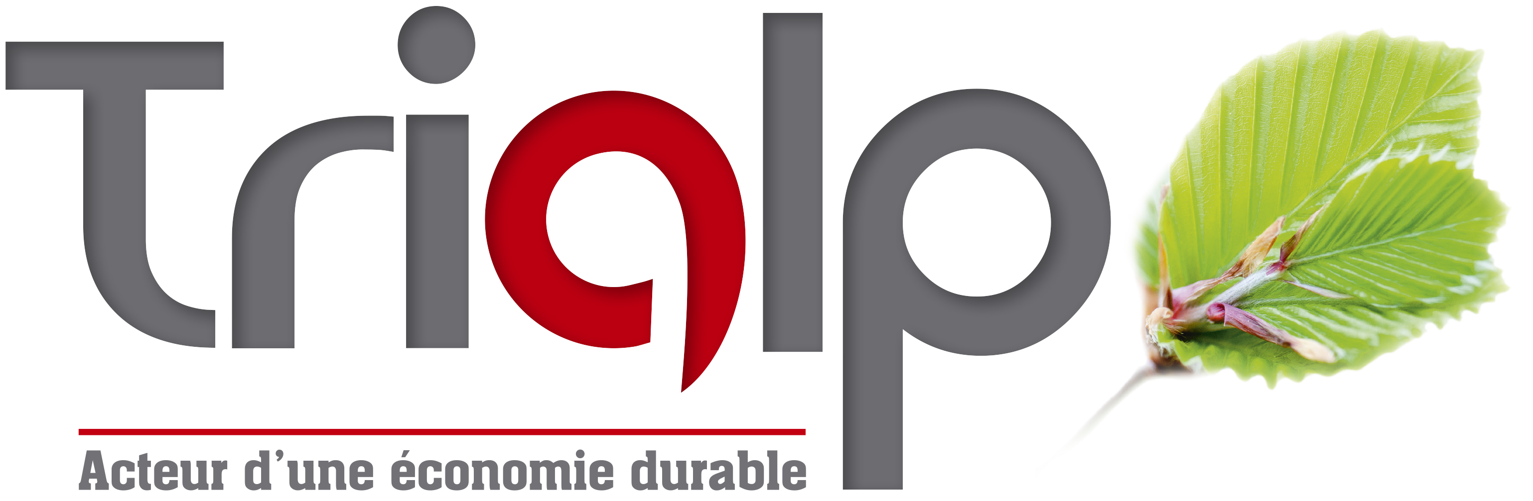 Logo de la structure TRIALP