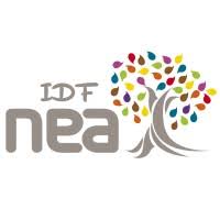 Logo de la structure Nea Idf