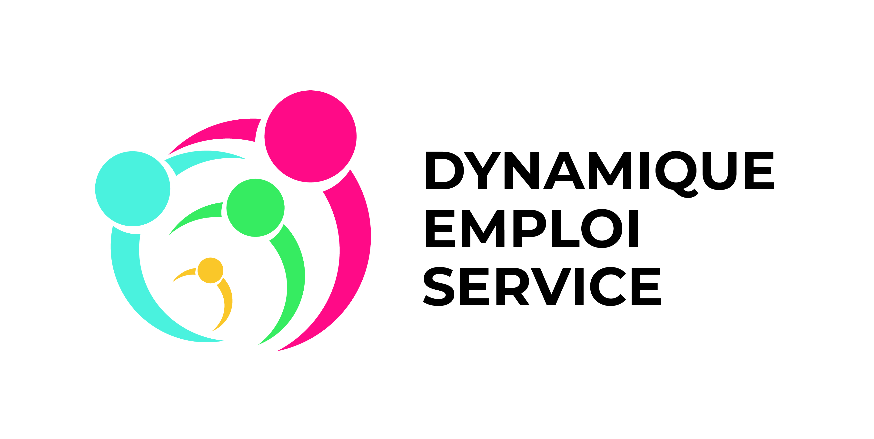 Logo de la structure ASSOC DYNAMIQUE EMPLOI SERVICE