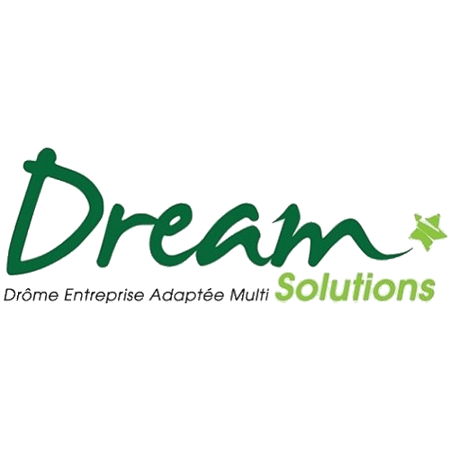 Logo de la structure Dream Solutions