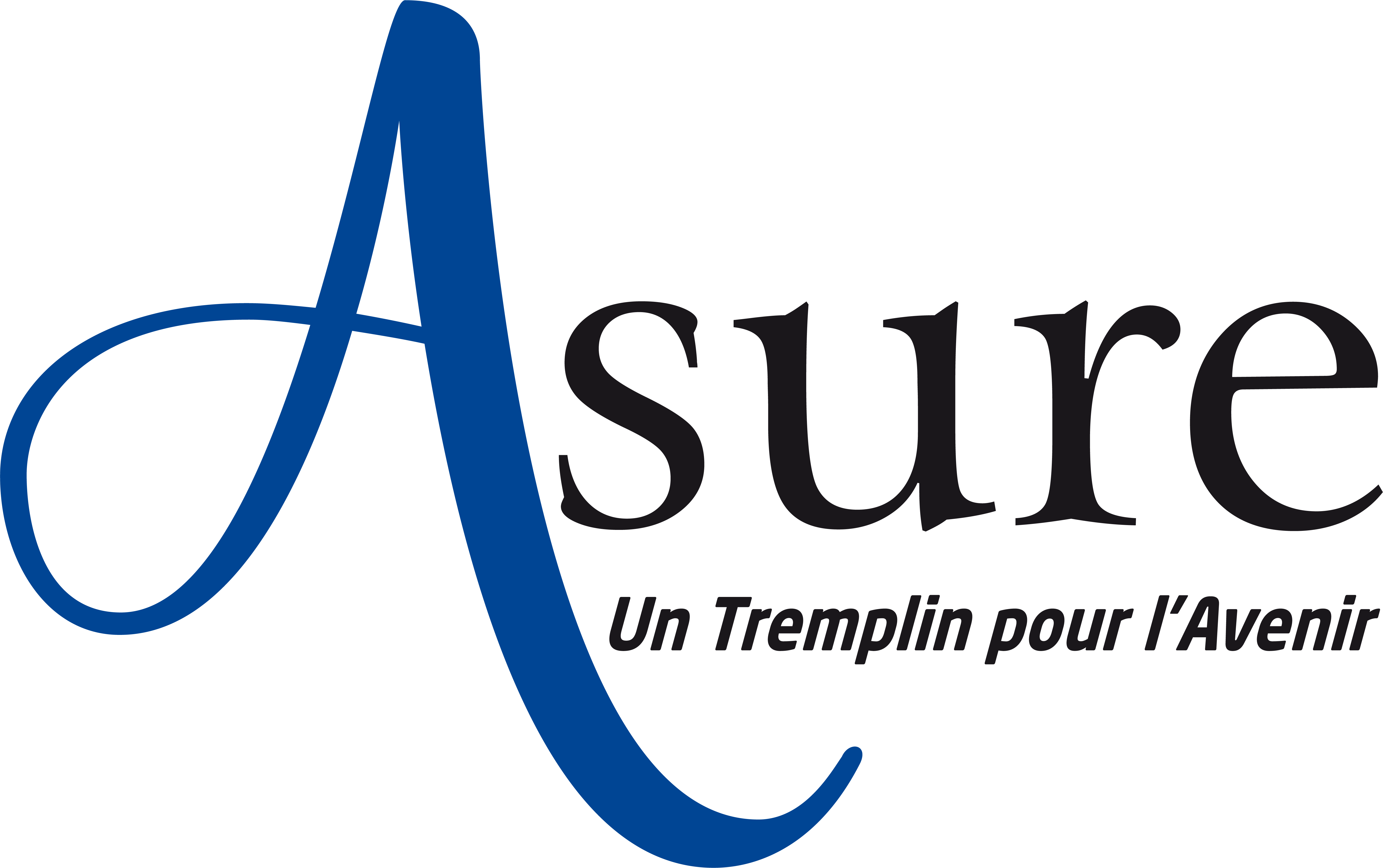 Logo de la structure ASSOC ASDIES
