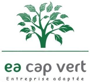 Logo de la structure Cap Vert