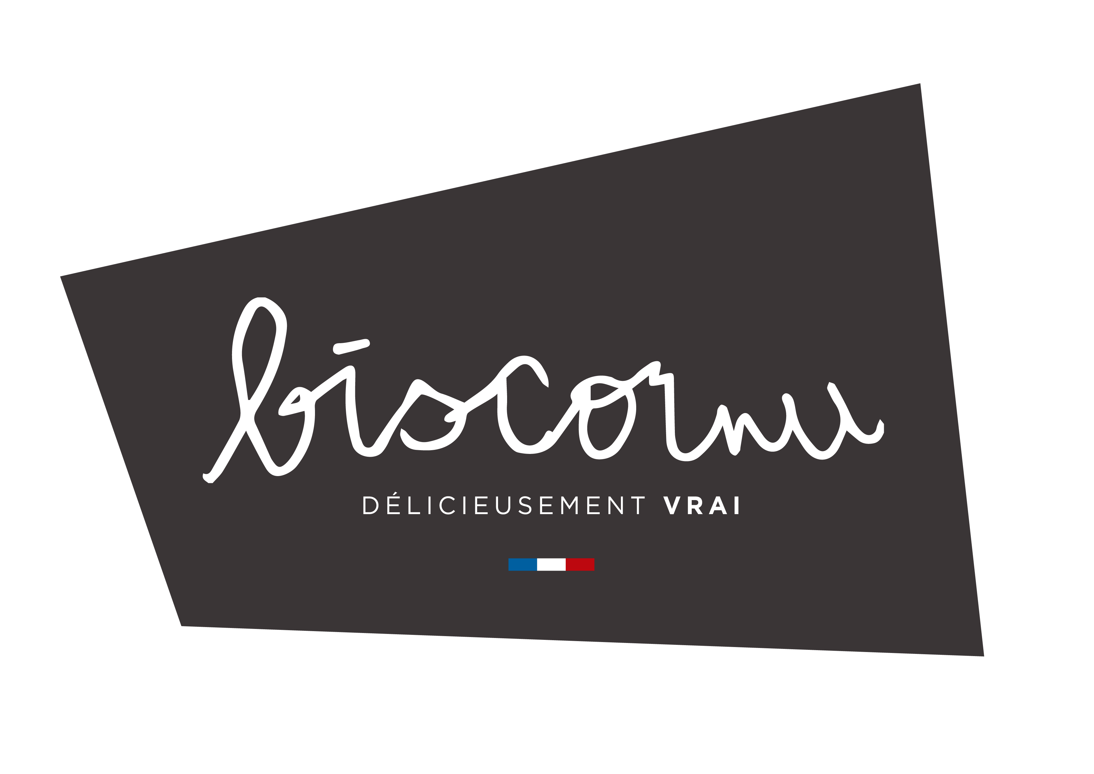Logo de la structure Biscornu