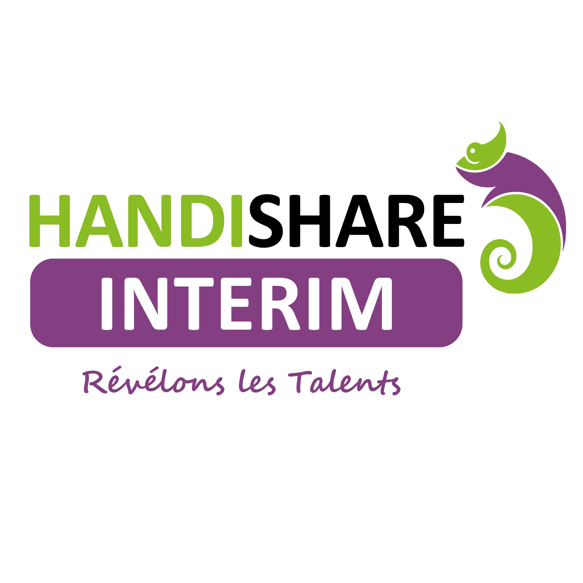 Logo de la structure Handishare Interim