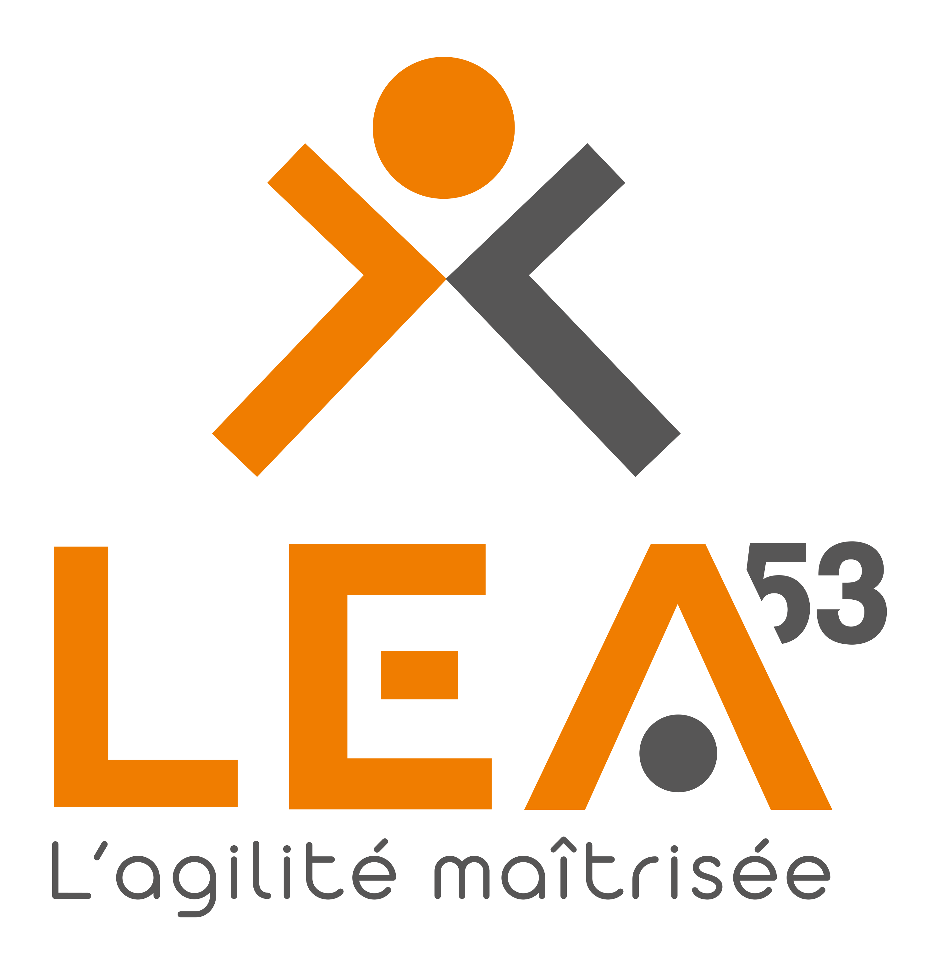 Logo de la structure Ea Lea 53