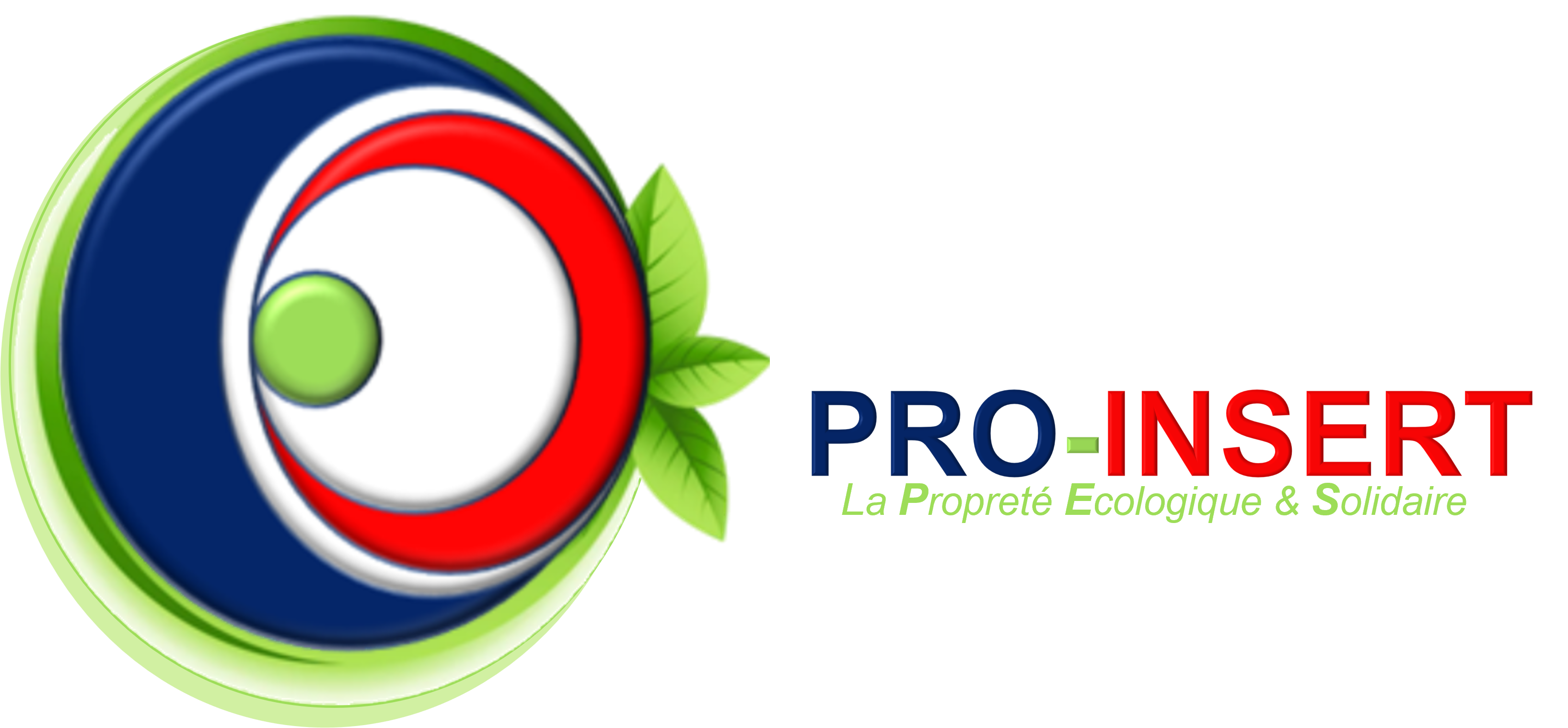 Logo de la structure SARL PRO INSERT