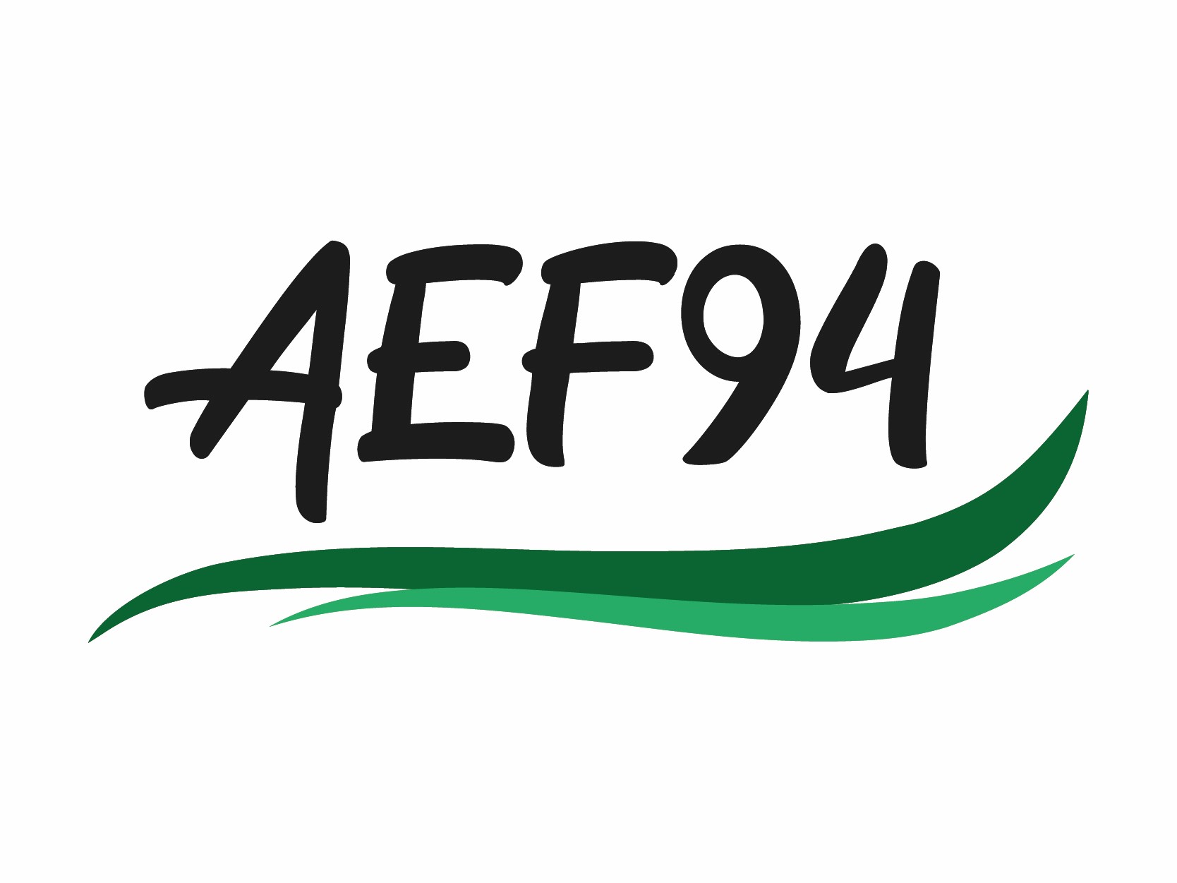 Logo de la structure ASSOC AEF 94
