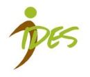 Logo de la structure IDES CONCARNEAU