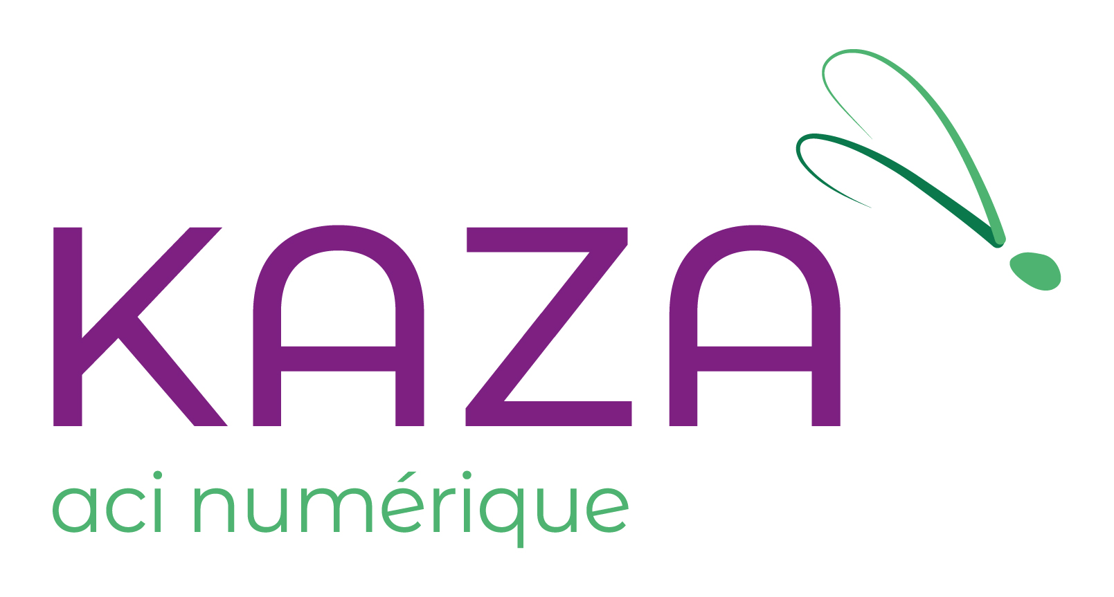 Logo de la structure KAZA