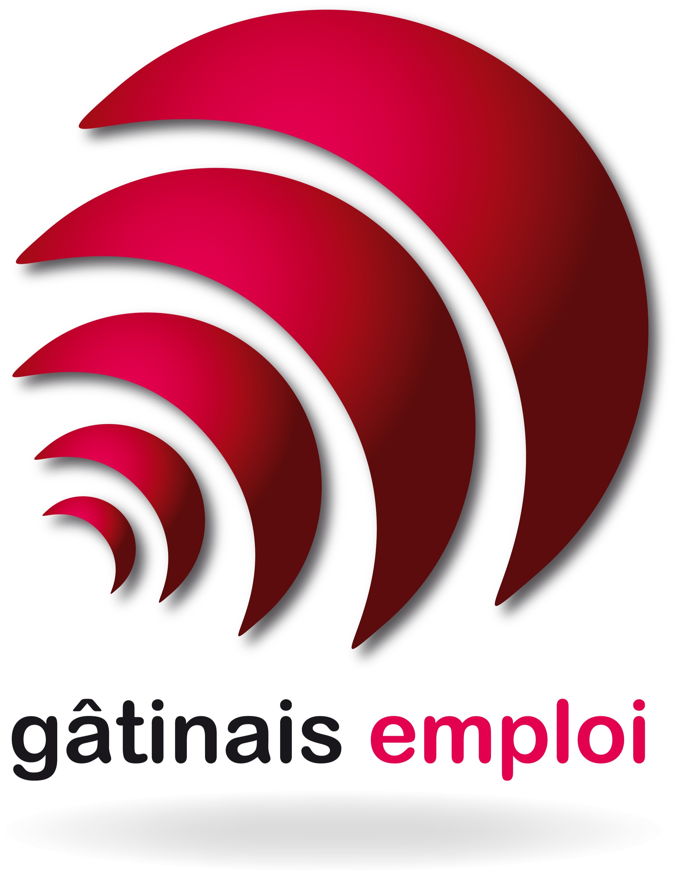 Logo de la structure ASSOC GATINAIS EMPLOI