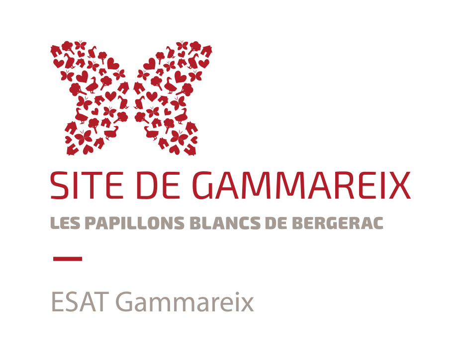 Logo de la structure ESAT DE GAMMAREIX