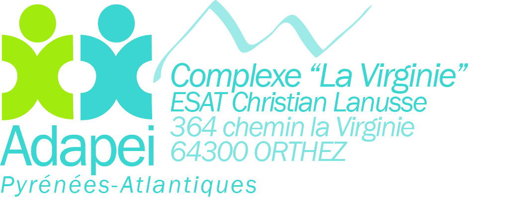 Logo de la structure ESAT CHRISTIAN LANUSSE ADAPEI 64