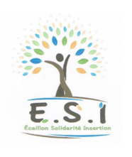 Logo de la structure ECAILLON SOLIDARITE INSERTION