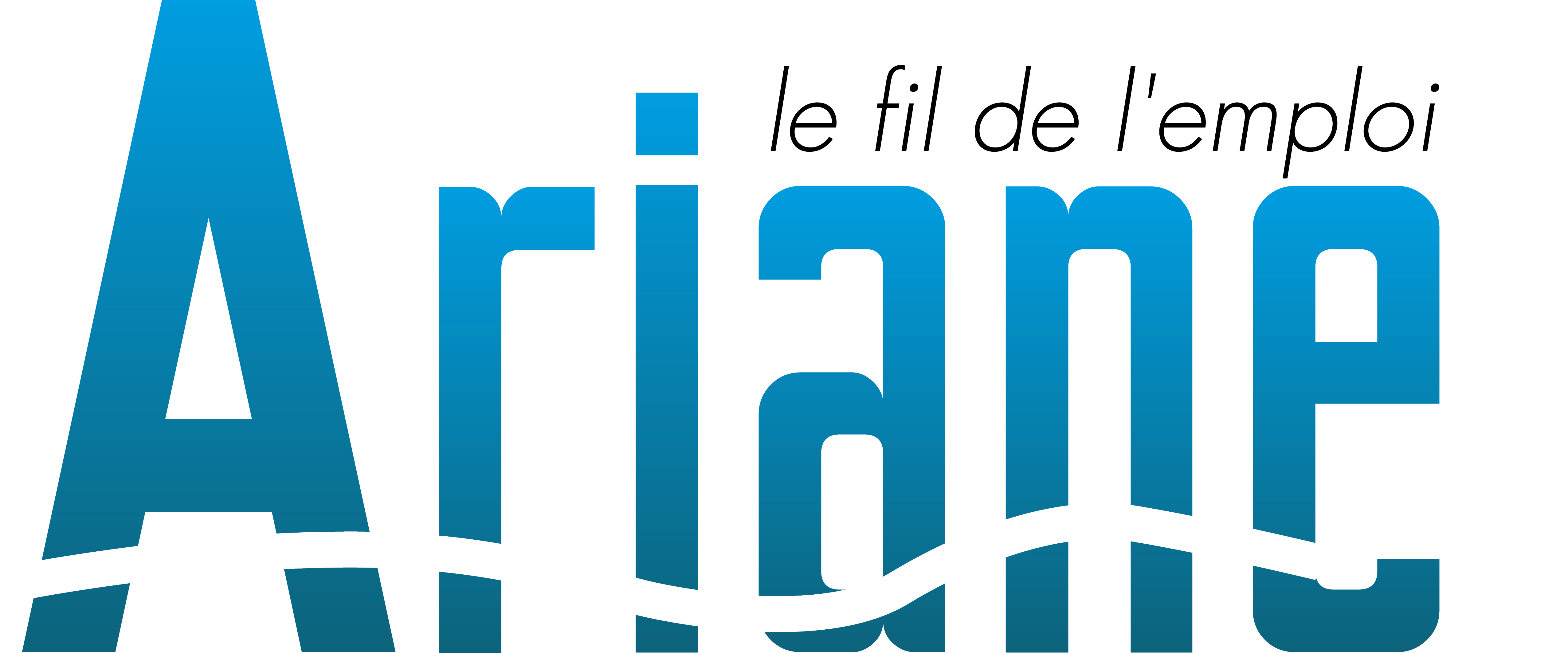 Logo de la structure ASSOC ARIANE AI GES VIE LITTORAL