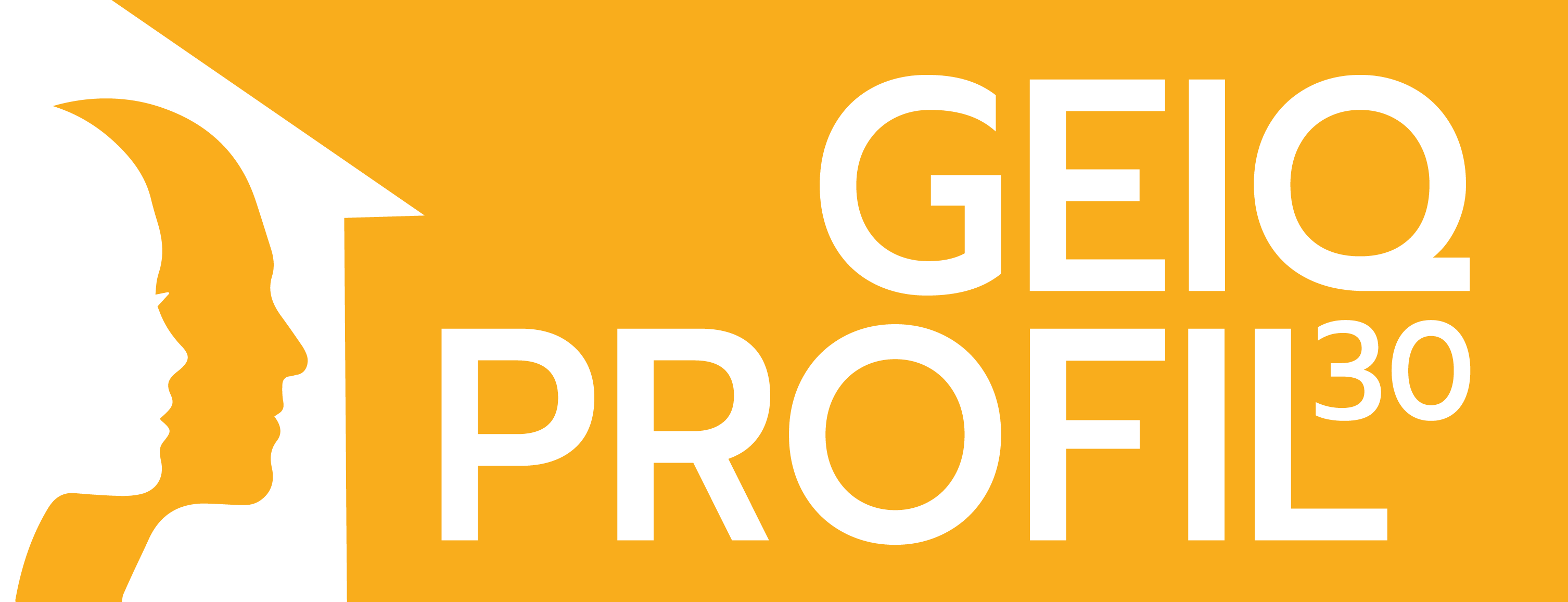 Logo de la structure Geiq Profil 30