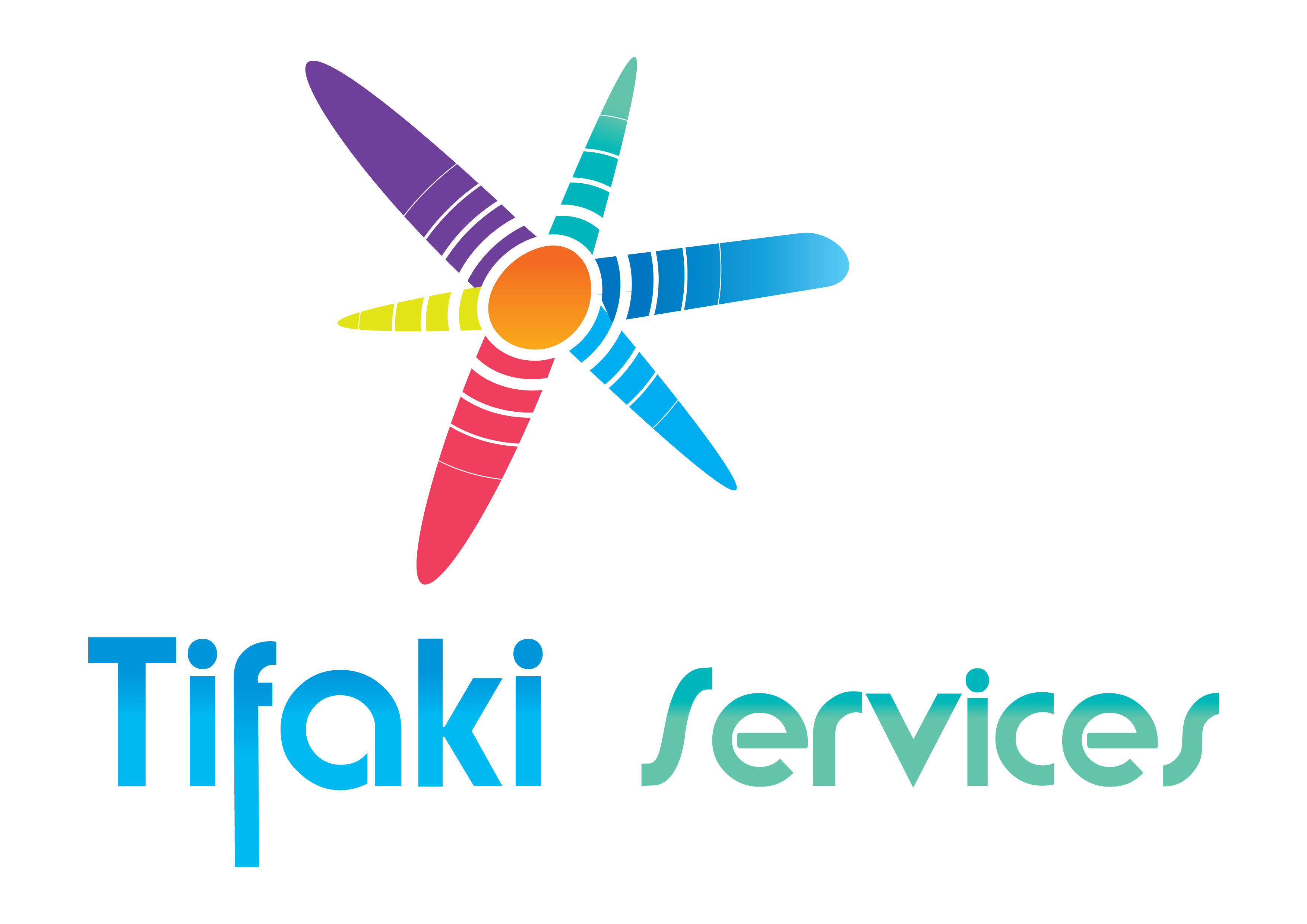 Logo de la structure TIFAKI SERVICES SAS