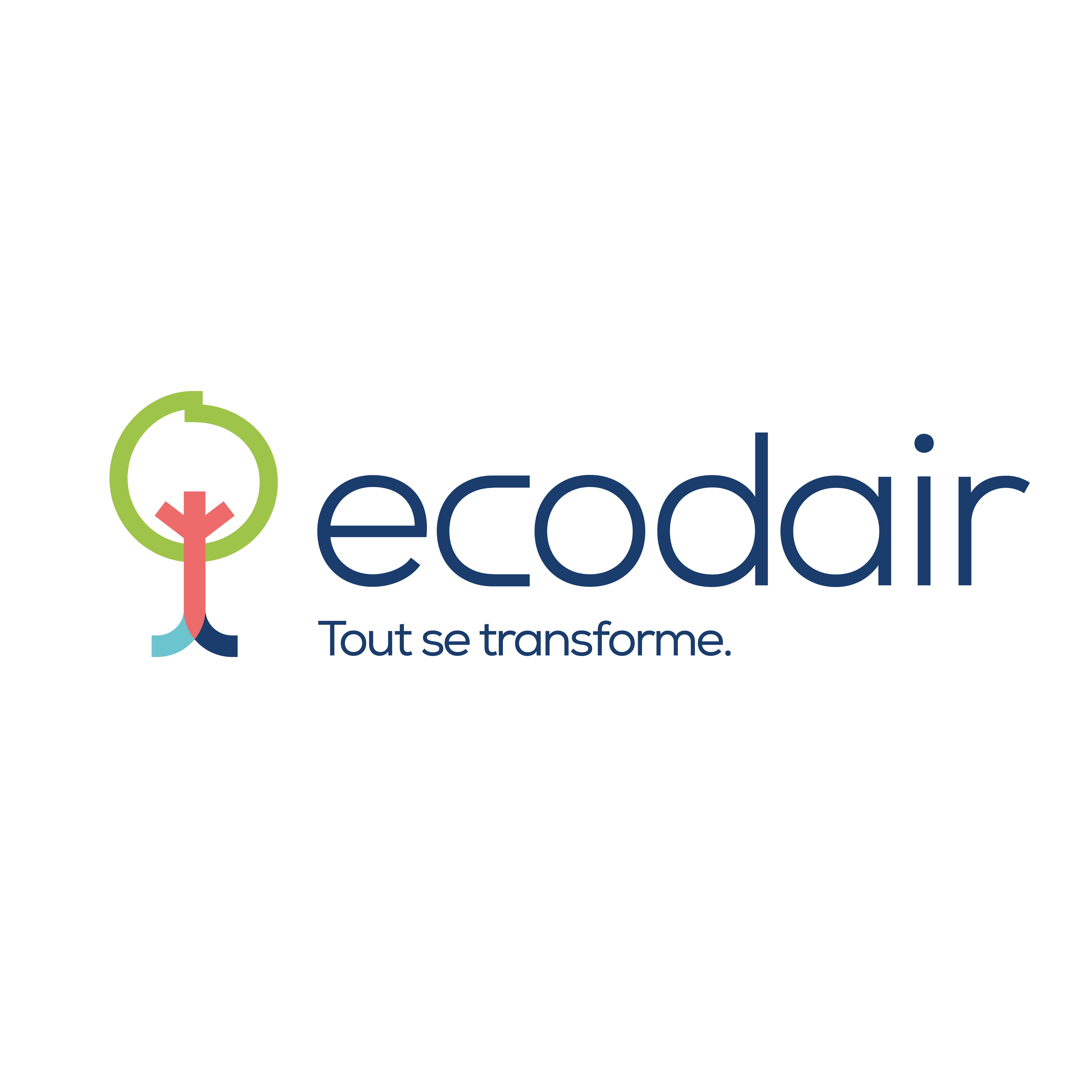 Logo de la structure ECODAIR ESAT